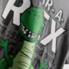1–9 Jahre | Disney-Pixar-„Toy Story“-Rex-Hemd