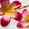 2er-Pack Haarspangen mit Blumenmuster