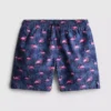 7–15 Jahre | Flamingo-Motiv auf Shorts 7–15 Jahre | Flamingo-Motiv auf Shorts