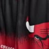 7–15 Jahre | NBA Chicago Bulls Mesh-Set 7–15 Jahre | NBA Chicago Bulls Mesh-Set