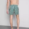 Badeshorts mit Liegestuhl-Streifenmuster Badeshorts mit Liegestuhl-Streifenmuster