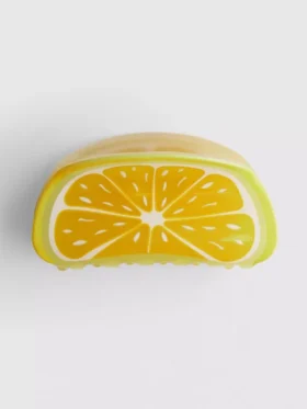 Haarspange in Form einer Fruchtscheibe