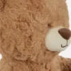 Klassischer Teddybär