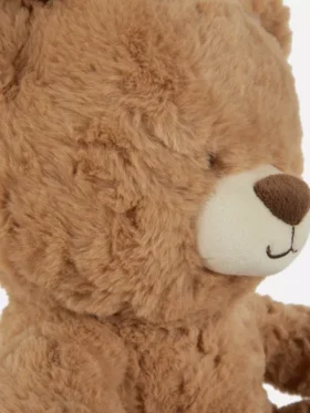 Klassischer Teddybär