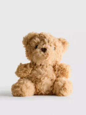 Kleines Teddybär-Plüschtier