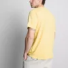 Kurzarm-T-Shirt in regulärer Passform Kurzarm-T-Shirt in regulärer Passform