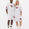NBA Chicago Bulls Hemd NBA Chicago Bulls Hemd