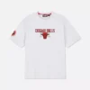 NBA Chicago Bulls Hemd NBA Chicago Bulls Hemd
