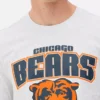 NFL Chicago Bears Logo-T-Shirt