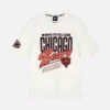 NFL Chicago Bears Logo-T-Shirt