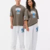 NFL Detroit Lions Logo-Hemd