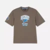 NFL Detroit Lions Logo-Hemd