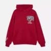 NFL Houston Texans Team-Hoodie NFL Houston Texans Team-Hoodie