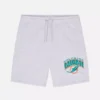 NFL Miami Dolphins Logo-Shorts NFL Miami Dolphins Logo-Shorts