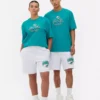 NFL Miami Dolphins Logo-T-Shirt