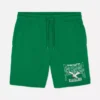 NFL Philadelphia Eagles Logo-Shorts NFL Philadelphia Eagles Logo-Shorts