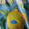 T-Shirt mit Amalfi-Zitronen-Motiv T-Shirt mit Amalfi-Zitronen-Motiv